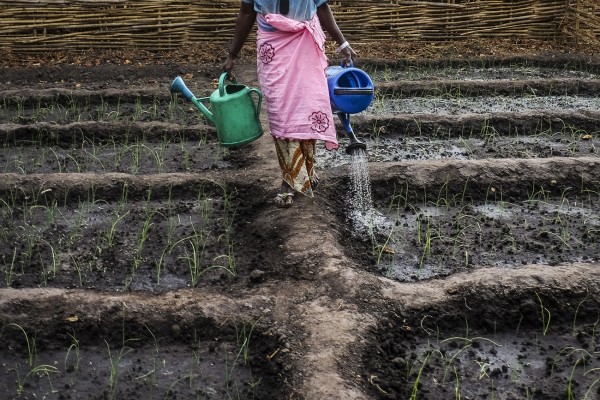 20140125-GUINEA BISSAU-YAYA-0906