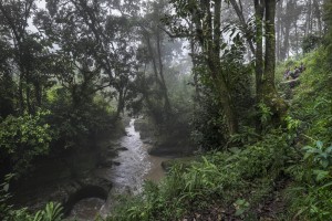 20 noviembre 2014.   
La llegada de algunas compañías extranjeras a América Latina ha provocado abusos a los derechos de las poblaciones indígenas y represión a su defensa del medio ambiente. En Santa Cruz de Barillas, Guatemala, el proyecto de la hidroeléctrica española Ecoener ha desatado crímenes, violentos disturbios, la declaración del estado de sitio por parte del ejército y la encarcelación de una decena de activistas contrarios a los planes de la empresa. Un grupo de indígenas mayas, en su mayoría mujeres, mantiene cortado un camino y ha instalado un campamento de resistencia para que las máquinas de la empresa no puedan entrar a trabajar. La persecución ha provocado además que algunos ecologistas, con órdenes de busca y captura, hayan tenido que esconderse durante meses en la selva guatemalteca.

En Cobán, también en Guatemala, la hidroeléctrica Renace se ha instalado con amenazas a la población y falsas promesas de desarrollo para la zona. Como en Santa Cruz de Barillas, el proyecto ha dividido y provocado enfrentamientos entre la población. La empresa ha cortado el acceso al río para miles de personas y no ha respetado la estrecha relación de los indígenas mayas con la naturaleza. © Calamar2/Pedro ARMESTRE

The arrival of some foreign companies to Latin America has provoked abuses of the rights of indigenous peoples and repression of their defense of the environment. In Santa Cruz de Barillas, Guatemala, the project of the Spanish hydroelectric Ecoener has caused murders, violent riots, the declaration of a state of siege by the army and the imprisonment of a dozen activists opposed to the project . 
A group of Mayan Indians, mostly women, has cut a path and has installed a resistance camp to prevent the enter of the company’s machines. The prosecution has also provoked that some ecologists, with orders for their arrest, have been hidden for months in the Guatemalan jungle.

In Coban, also in Guatemala, the hydroelectric Renace