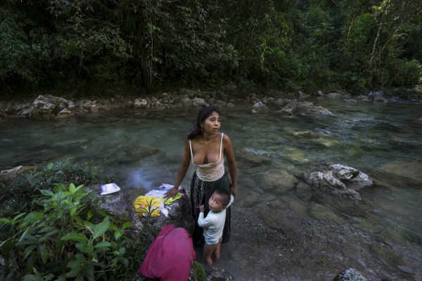 Dona a Alianza por la Solidaridad con la compra de una copia