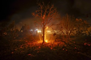 A Madrid Volunteer firefighter works in El cubillo de Uceda during a forest fire near Guadalajara, on August 11, 2012. AFP PHOTO/Pedro ARMESTRE