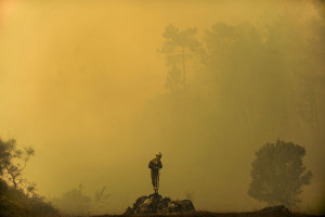 18.Bombero forestal